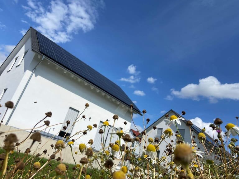 Neubau mit weißer Fassade, das Satteldach voll mit Solarmodulen belegt, davor eine blühende Wiese